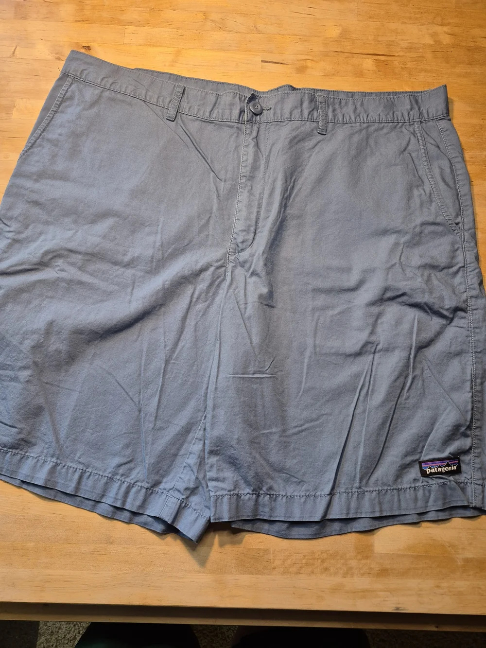 Patagonia Men's Light Slate Blue Flat Front Shorts